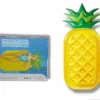 Giant Pineapple Float