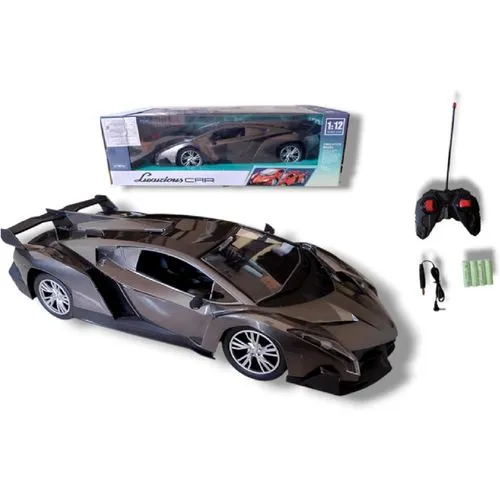 Gray RC Car 2